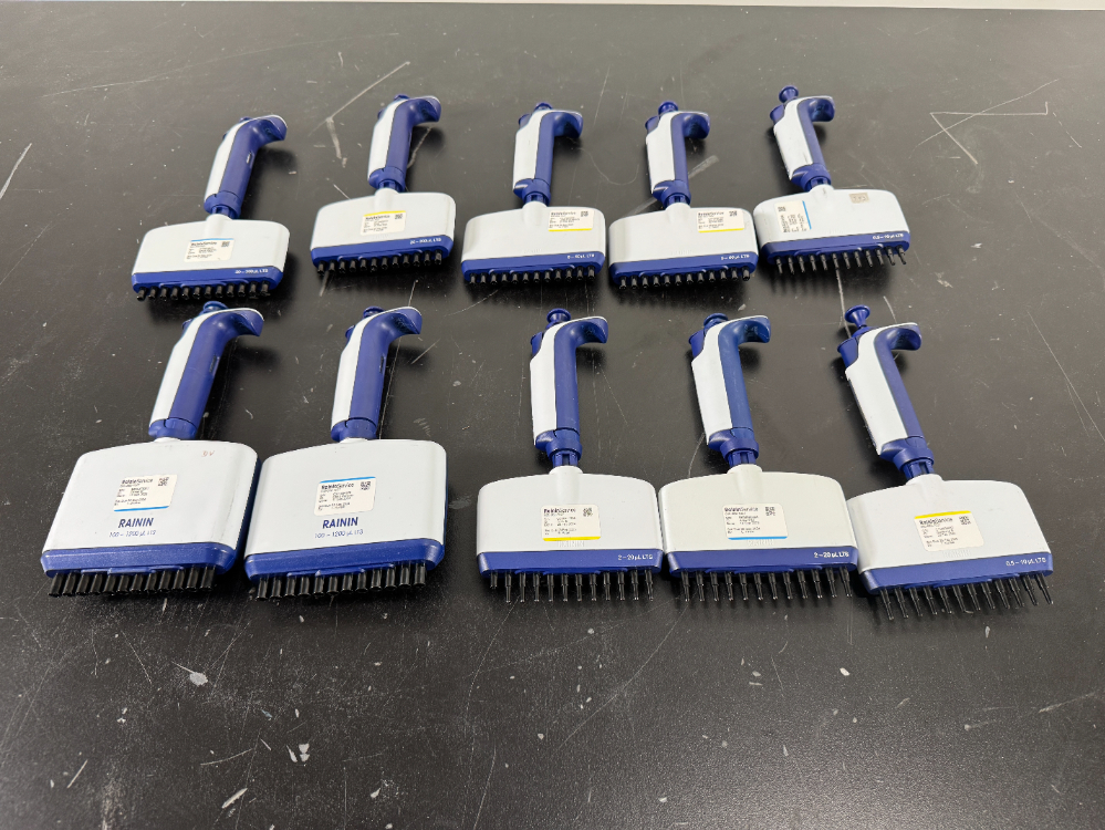 Image of Rainin Pipet-Lite XLS Multichannel Pipettes - Quantity 10
